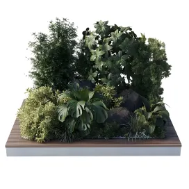 Collection outdoor indoor pot plant